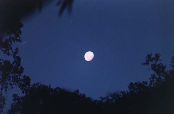 lua