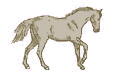 horse1.gif (9446 bytes)