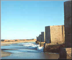 The Old Train Bridge