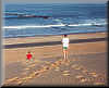 Only the tarred road splits the desert dunes from the ocean