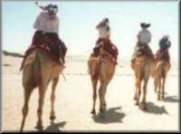 Camel Ride