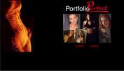 Portfolio Perfect Models