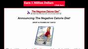 The Negative Calorie Diet (tm)