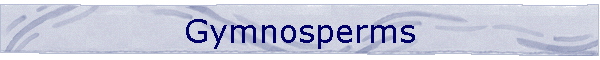 Gymnosperms
