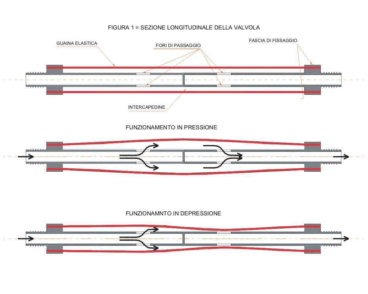 Fig. 1 - Sezione longitudinale