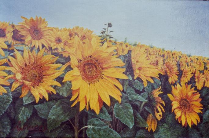 Fiori