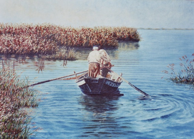 Delta del PO