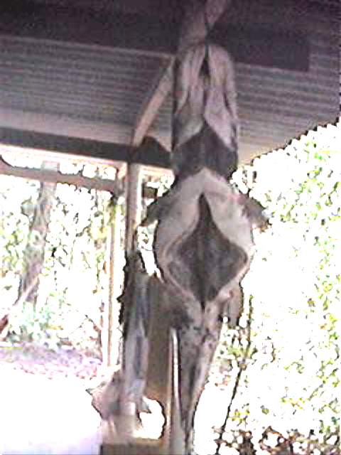 Pesqueiro Camis�o