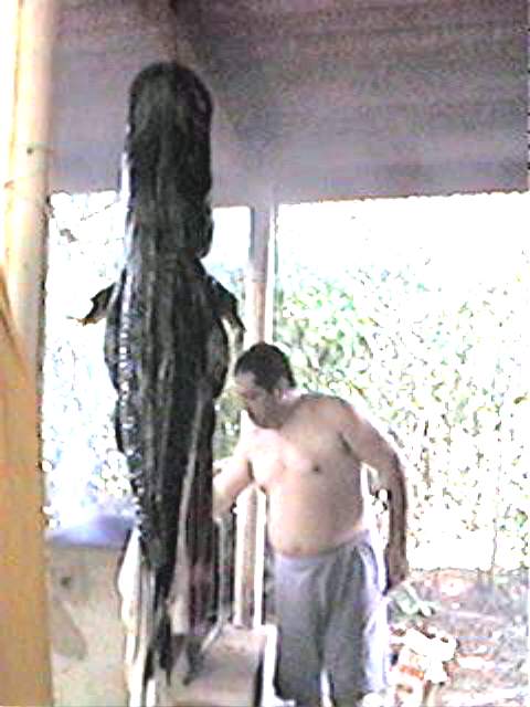 Pesqueiro Camis�o