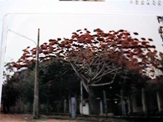 Rancho Salobra