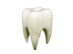 Dental care. Cuidado de los dientes y tratamiento de los dientes.