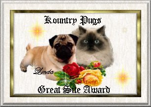 pugs award