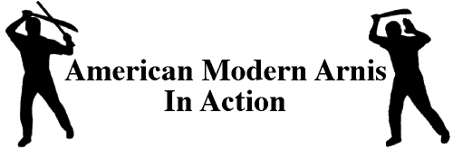 Arnis In Action (Banner) [5.8K]