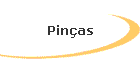 Pin�as