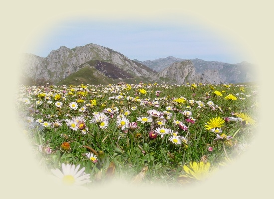 "...La primavera ven�a, cargada de melod�as, henchida de aromas y fulgores de verdes rutilantes y flores, mimo para los ojos, caricias para el alma..."