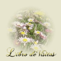 Libro de Visitas