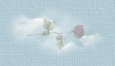 En las nubes