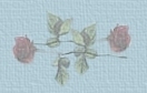 Rosas
