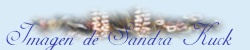 Logo Sandra Kuck
