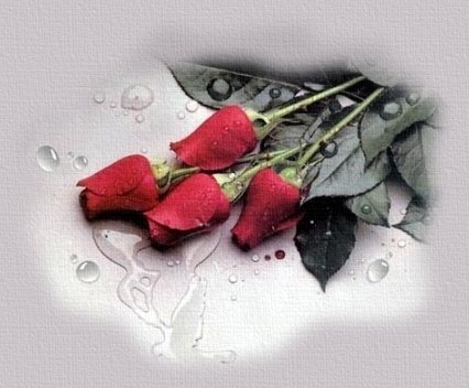 Flores para el Recuerdo