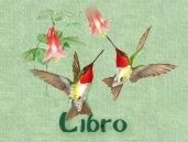 Libro