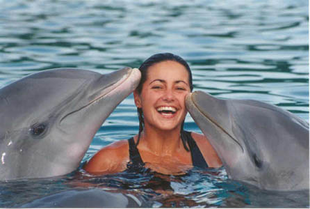 dolphin2