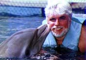 dolphins1