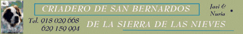 BANNER JAVIVERDE 1.gif (12324 bytes)
