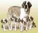 EL CARCHE.jpg (6376 bytes)