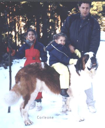 En la nieve.gif (143820 bytes)