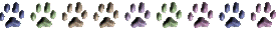 Huellas de perro.jpg (12614 bytes)