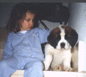 Image12.gif (11241 bytes)