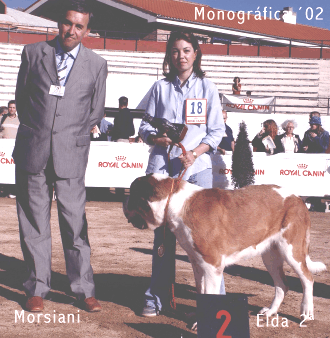 Morsiani - Elda - yo.gif (88510 bytes)