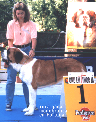 YUCA GANA LA MONOGR�FICA.gif (85411 bytes)