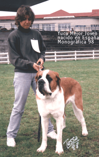 Yuca y yo.gif (130397 bytes)