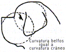 c4.gif (7744 bytes)