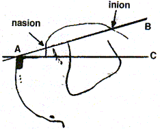 cabeza.gif (5531 bytes)