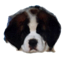 cabeza de Elda peque�a.JPG (10144 bytes)