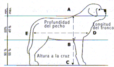 dibujo.gif (13212 bytes)