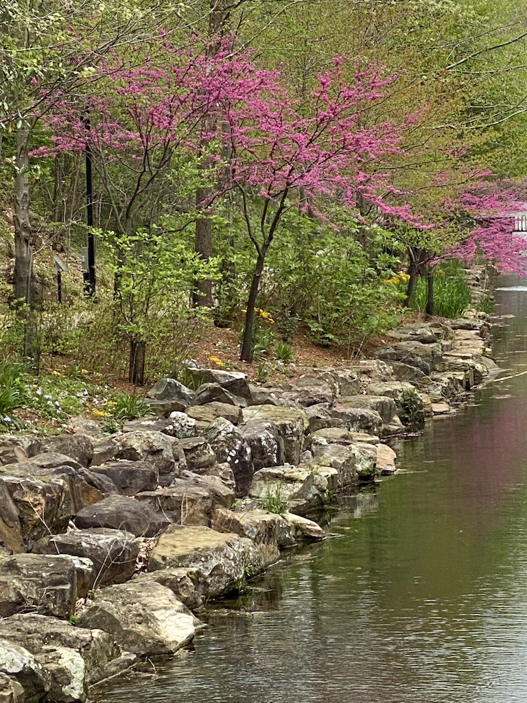 spring stream