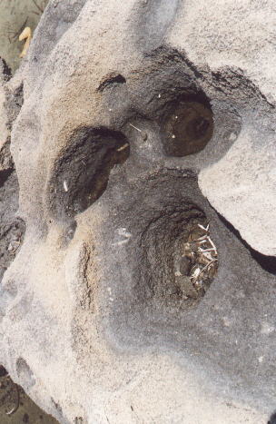 geart.jpg (36318 bytes)