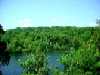 Breakheart Reservation, Saugus, MA, Pearce Lake