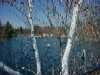 Middlesex Fells Reservation, Stoneham, MA, High Service Reservoir