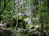 Mount Monadnock, Jaffrey, NH, Brook on Cascade Link Trail