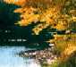 Pawtuckaway State Park, Nottingham, NH, Pawtuckaway Lake