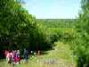 Weston Conservation Lands - 80 Acres, Weston, MA, Descending Cat Rock Hill