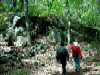 Weston Conservation Lands - 80 Acres, Weston, MA, Fox den on Cat Rock Trail