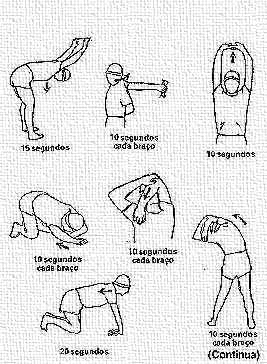 membros superiores