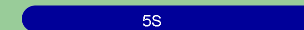 5S