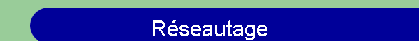 R�seautage